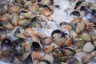DSC04078.jpg DSC04078.jpg
