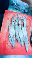 Nice squid. DSC00448.jpg