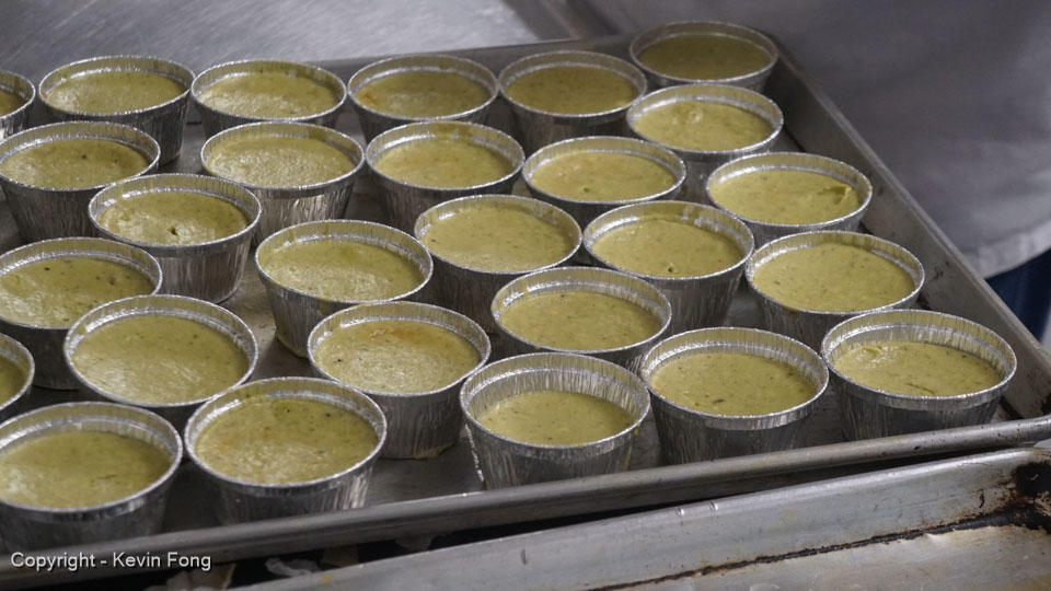 Copyright - Kevin Fong