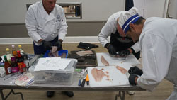 Copyright - Kevin Fong