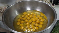 Copyright - Kevin Fong