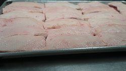 Copyright - Kevin Fong