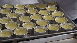 Copyright - Kevin Fong